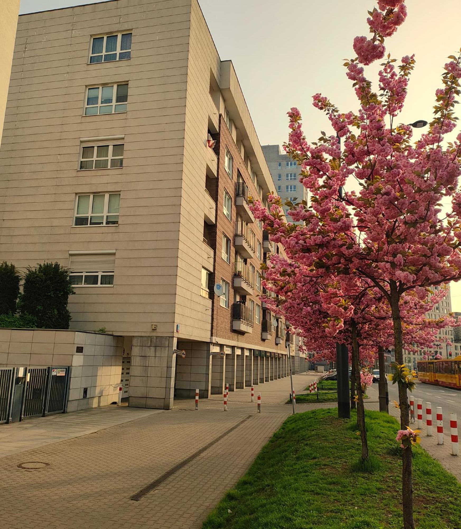 Totutotam Studio Warszawa Exteriör bild